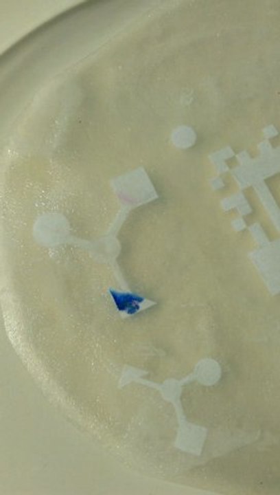 High pH Test
