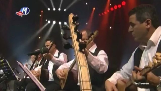 03 aysun gültekin nasip olsa - yediveren