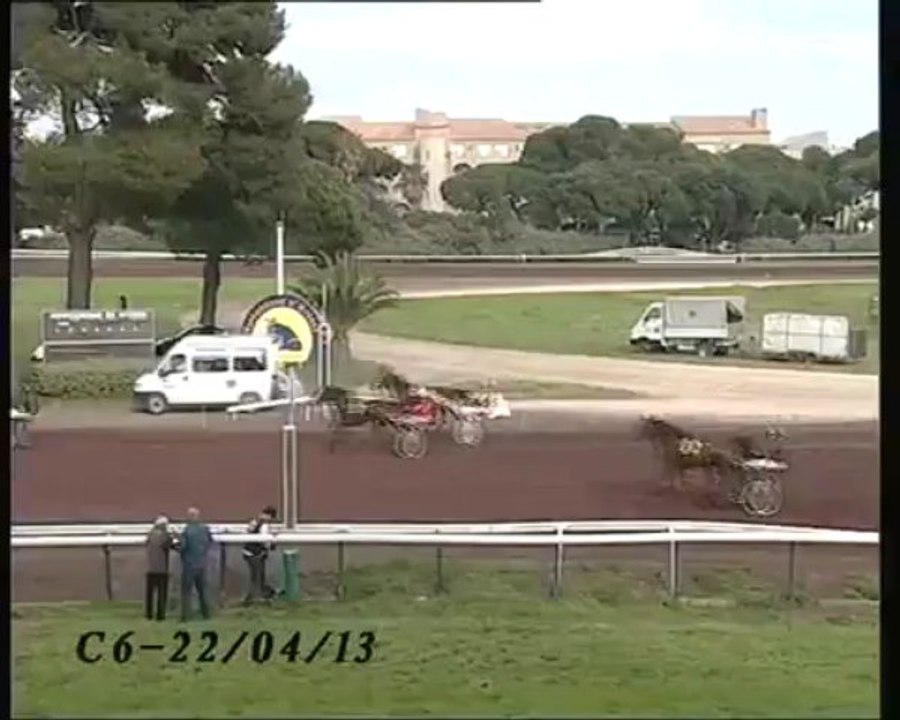 Sirius du Buquet Hyères