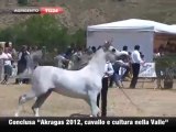 Cavalli e cultura nella Valle dei templi