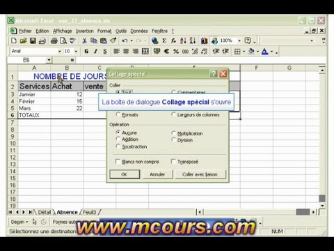Tutoriel EXCEL 2003: Cours N°19 Effectuer une copie spéciale