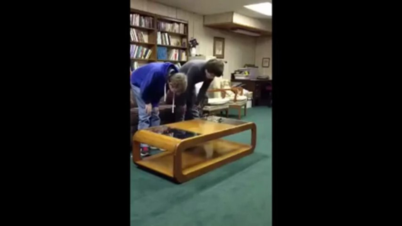 Un gars se fait tomber dans les pommes