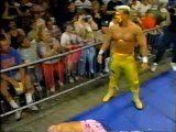 23. 91-05-19 Rick & Scott Steiner vs. Sting & Lex Luger (SuperBrawl)
