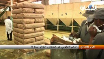 الدعم الحكومي على المحك  - الجزائر نموذجا !