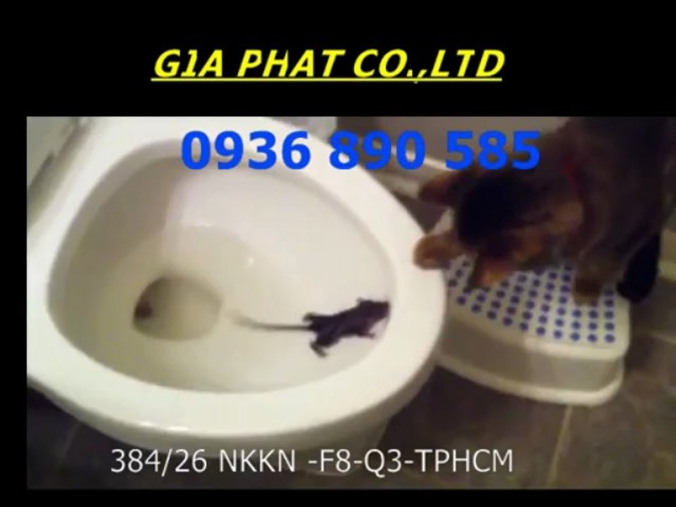 Cty sửa nhà quận tân bình – fone 0936 890 585