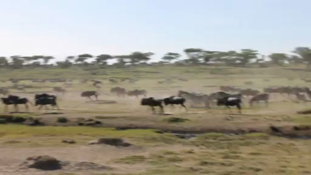 Circuit en Tanzanie avec Meltour