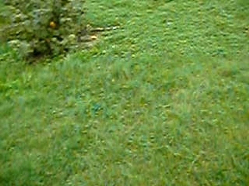 PICT2416