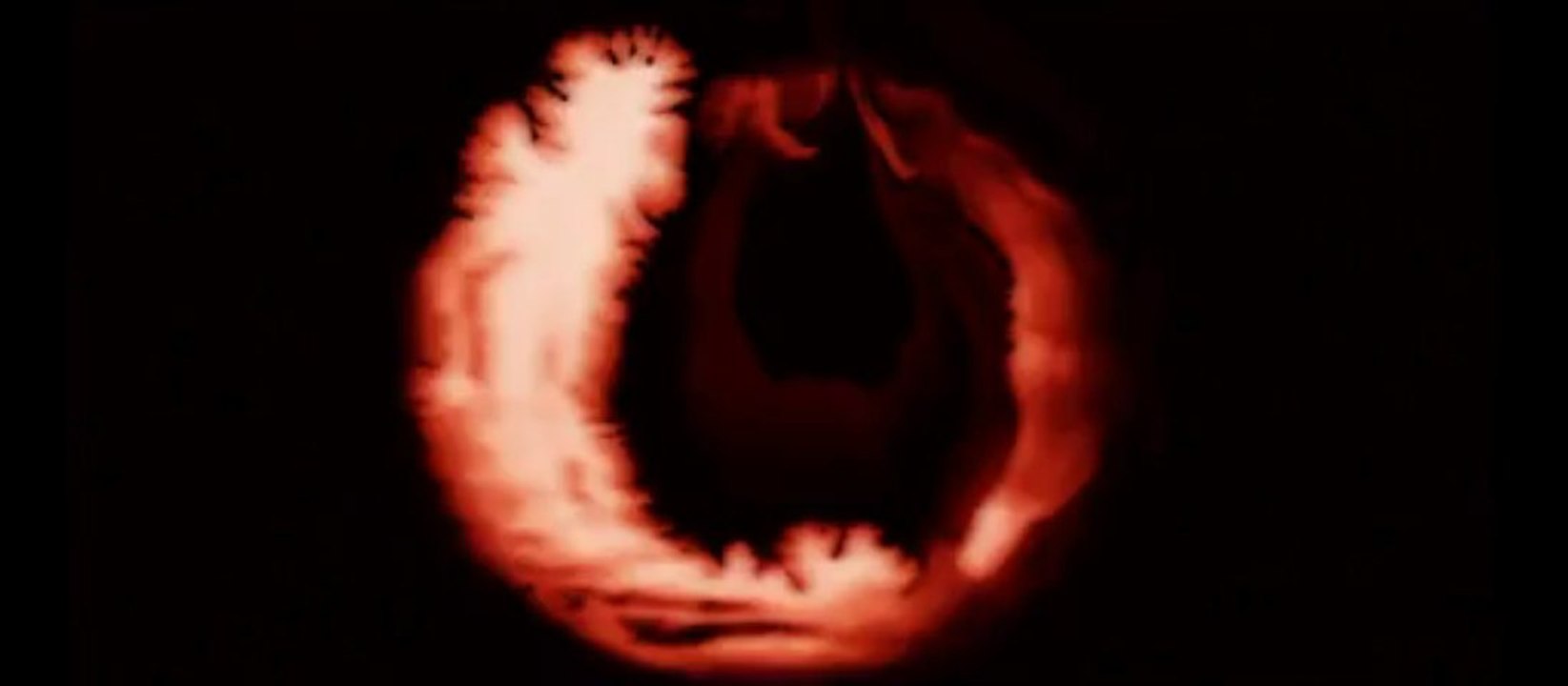 Yaşar - Firari (2013)