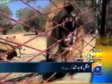 Geo Headlines-23 Apr 2013-1500