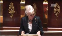 Nicole Ameline - Intervention sur l'engagement miltaire français au Mali