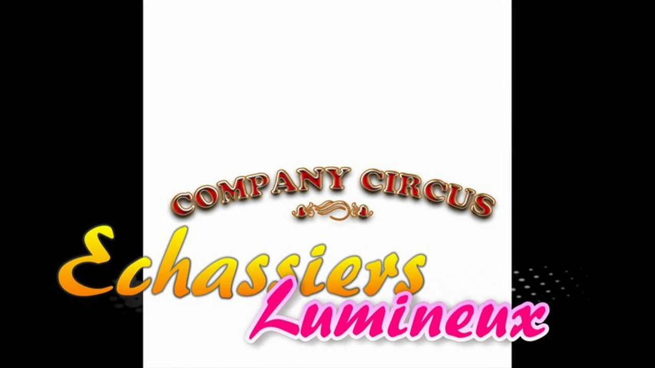 Echassiers lumineux blancs 06 08 68 40 42 animation reception evenement mariage