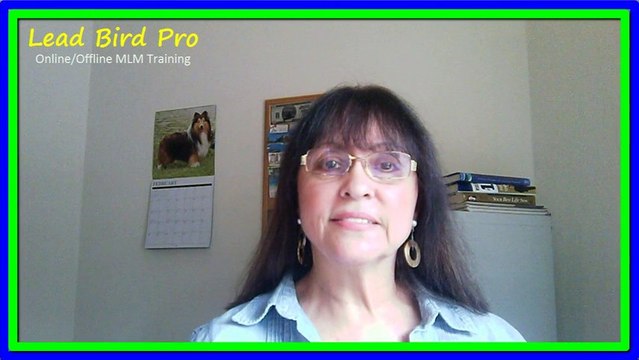 MLSP My Lead System Pro - How MLSP Pulls In Leads!
