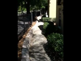 Real Estate for Rental in Orlando Florida (Metrowest)