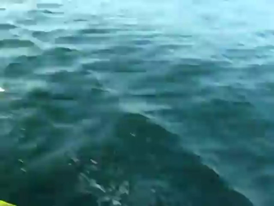 karachi Fishing Charna