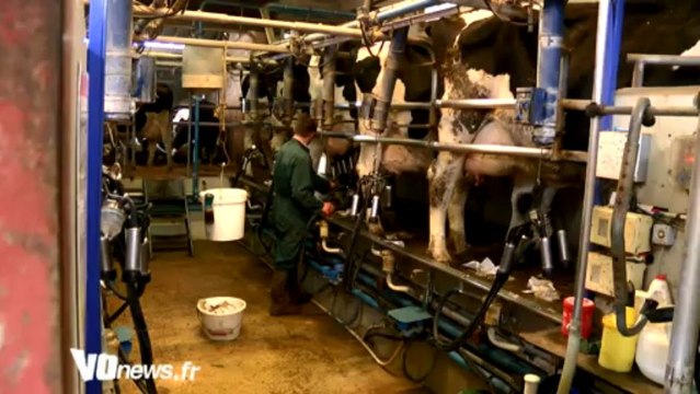 Les producteurs de lait inquiets