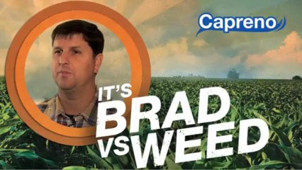 Man vs. Weed With Capreno® Corn Herbicide: Brazil, Indiana