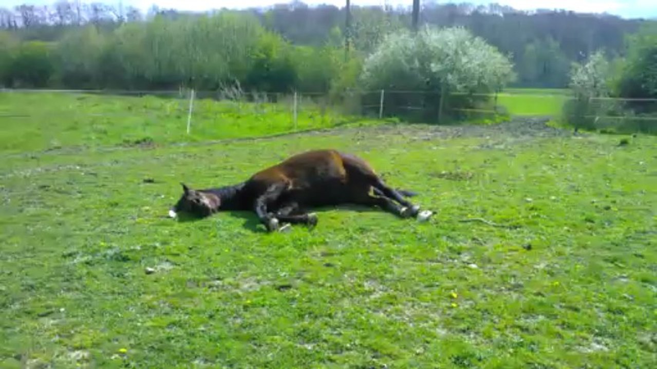 Dans les bras de Morphée !