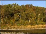 Ramganga River at Corbett National Park, Uttaranchal