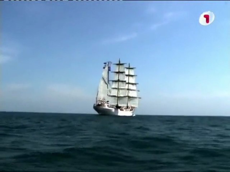 Laukine sirdis 08