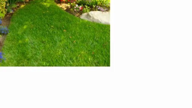 Landscape Services by Doug Halter | 805-701-2485