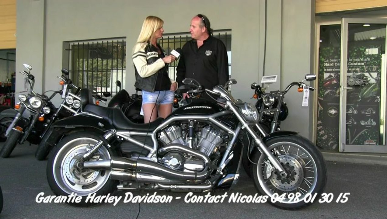 HARLEY DAVIDSON  V ROD  - occasion VAR - VROD HARLEY DAVIDSON TOULON VAR