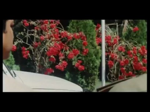 haisiyat ki jung scene 9