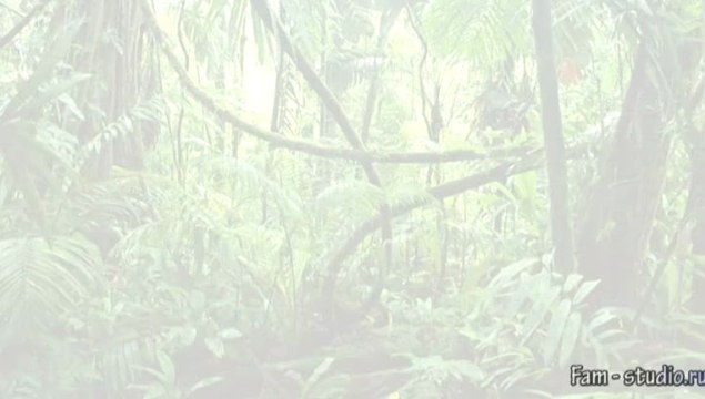 Как заработать на своём путешествии?