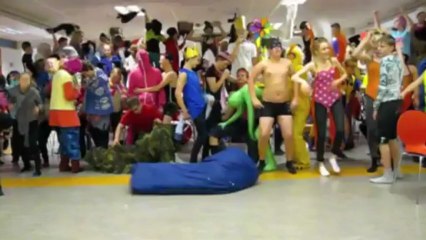 Annáll Varmárskóla 2013 (Directors cut)