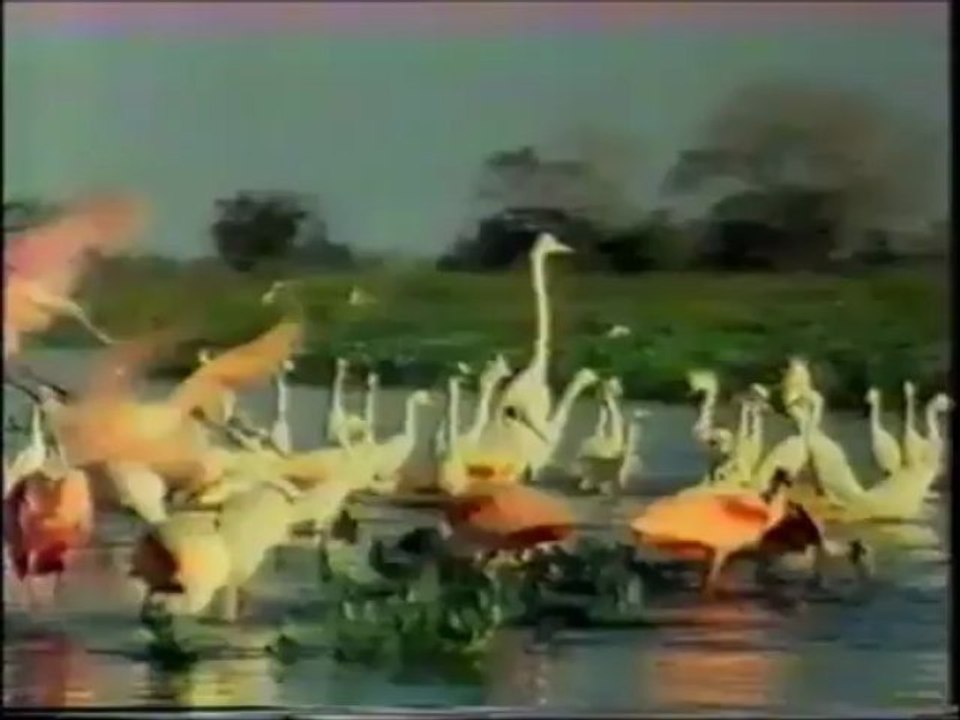 MORAL TV YARDIMLASMA DÜNYASI BÖLÜM 01