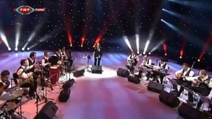 04 yasemin göksu lofçalı - yediveren 2011