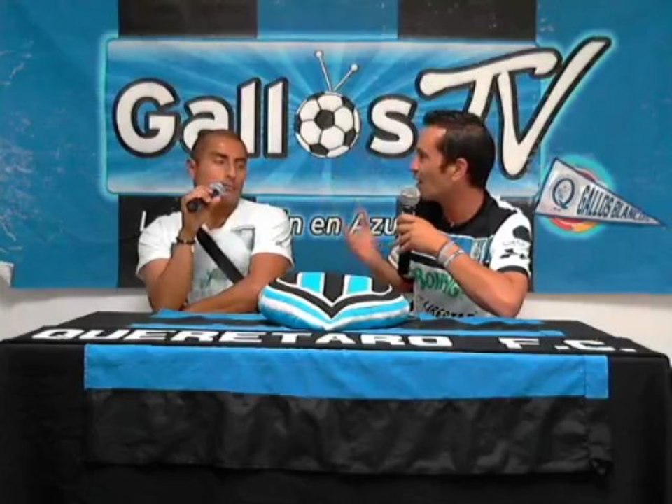 Gallos TV 311