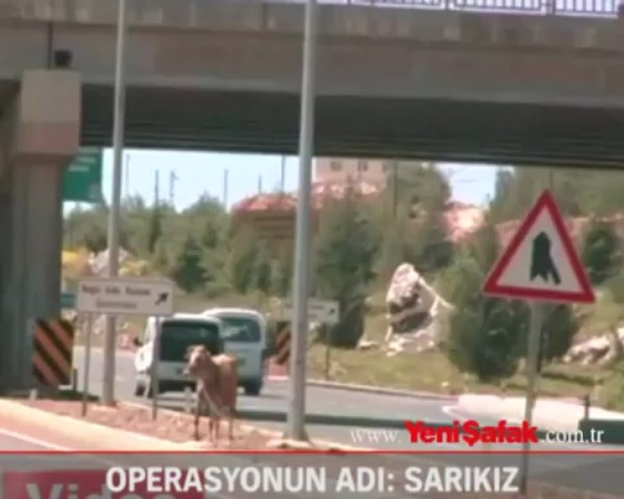 Operasyonun adı: Sarıkız