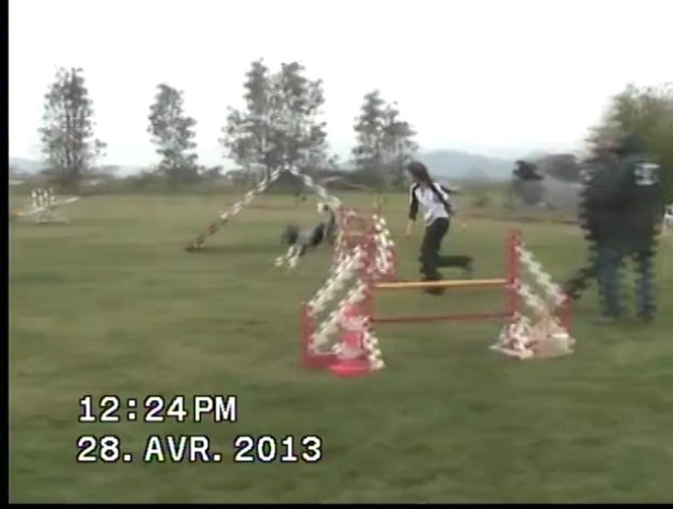 MARINE ET AWEN SELECTIF GPF 2013 AGILITY