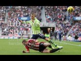 Aston Villa VS Sunderland 29 April 2013 Streaming