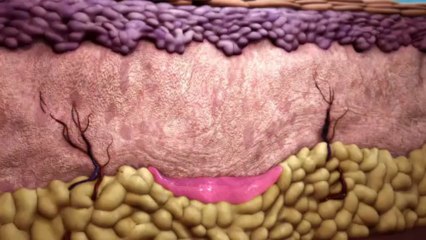 Find Best Manchester Botox Clinics