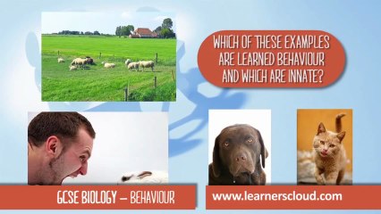 GCSE Biology: Understanding Behaviour