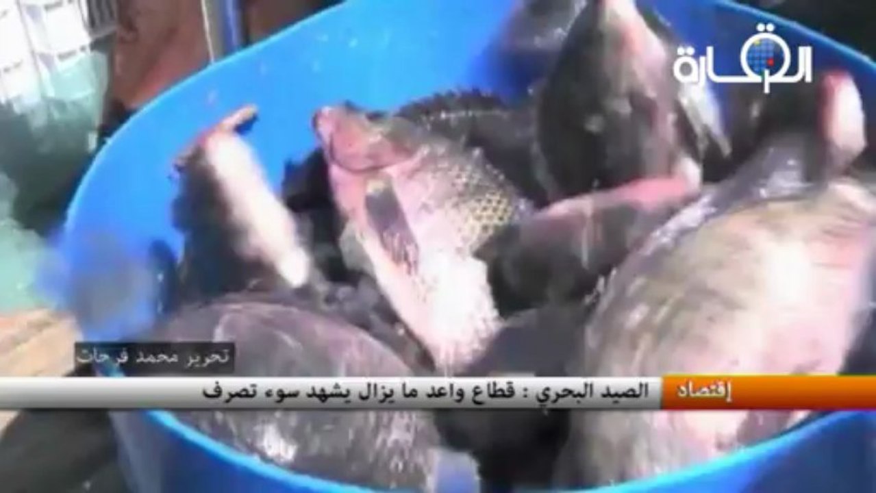 الصيد البحري:  قطاع واعد مازال يشهد سوء تصرف