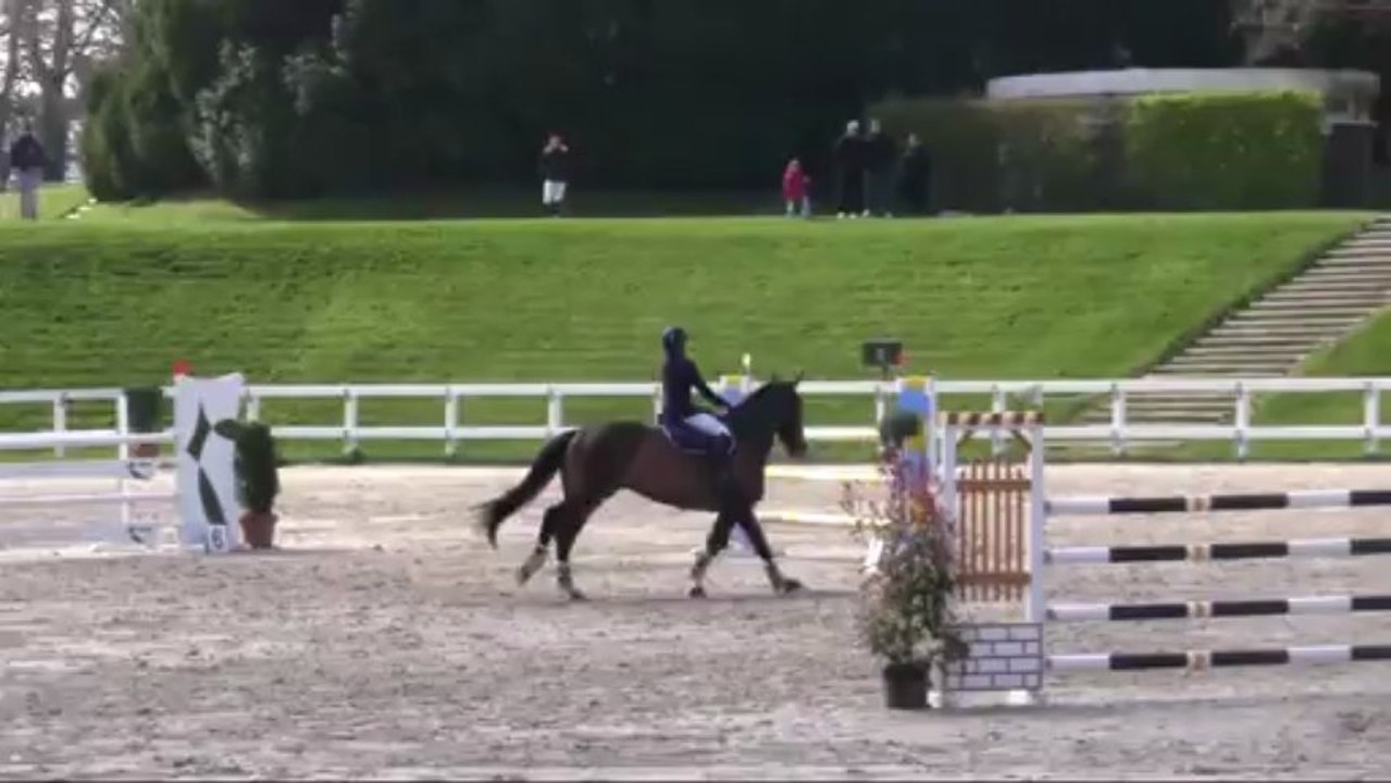 Quivarot (1)