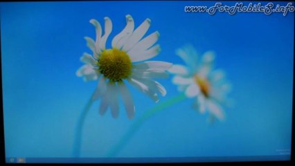 Breve recensione su Kingston V300