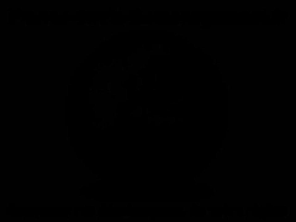 Société De Déménagement Pas Cher sur www.france-devis-demenagement.fr