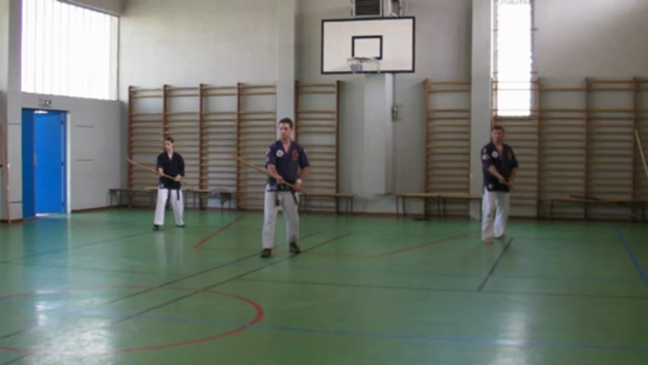 Naginata Happo de l'Ecole Française de Budo, style Toreikan-Budo