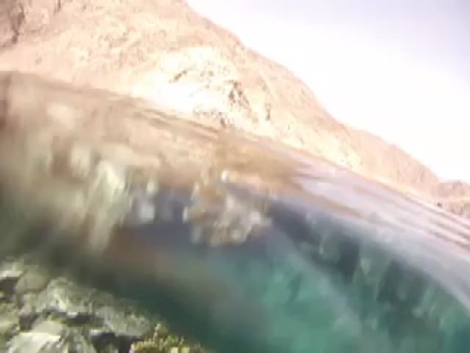 Maillots de bain homme à la Marque Palangga