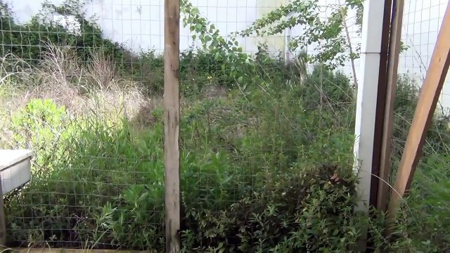 Aversa (CE) - Sopralluogo alla 'Casa dello studente', inaugurata e mai aperta (23.04.2013)