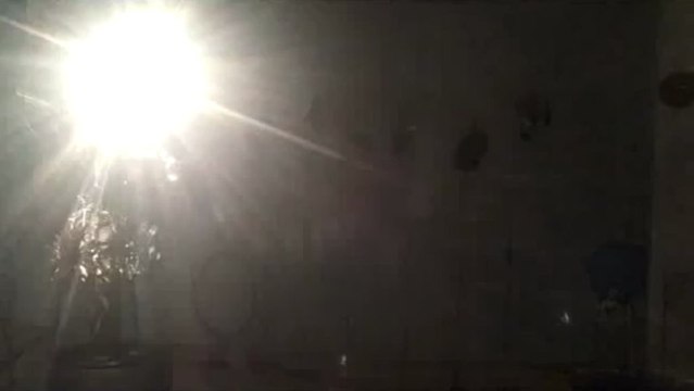 Installation sonore interactive : Electrik Botanik Ensemble (partie 1)