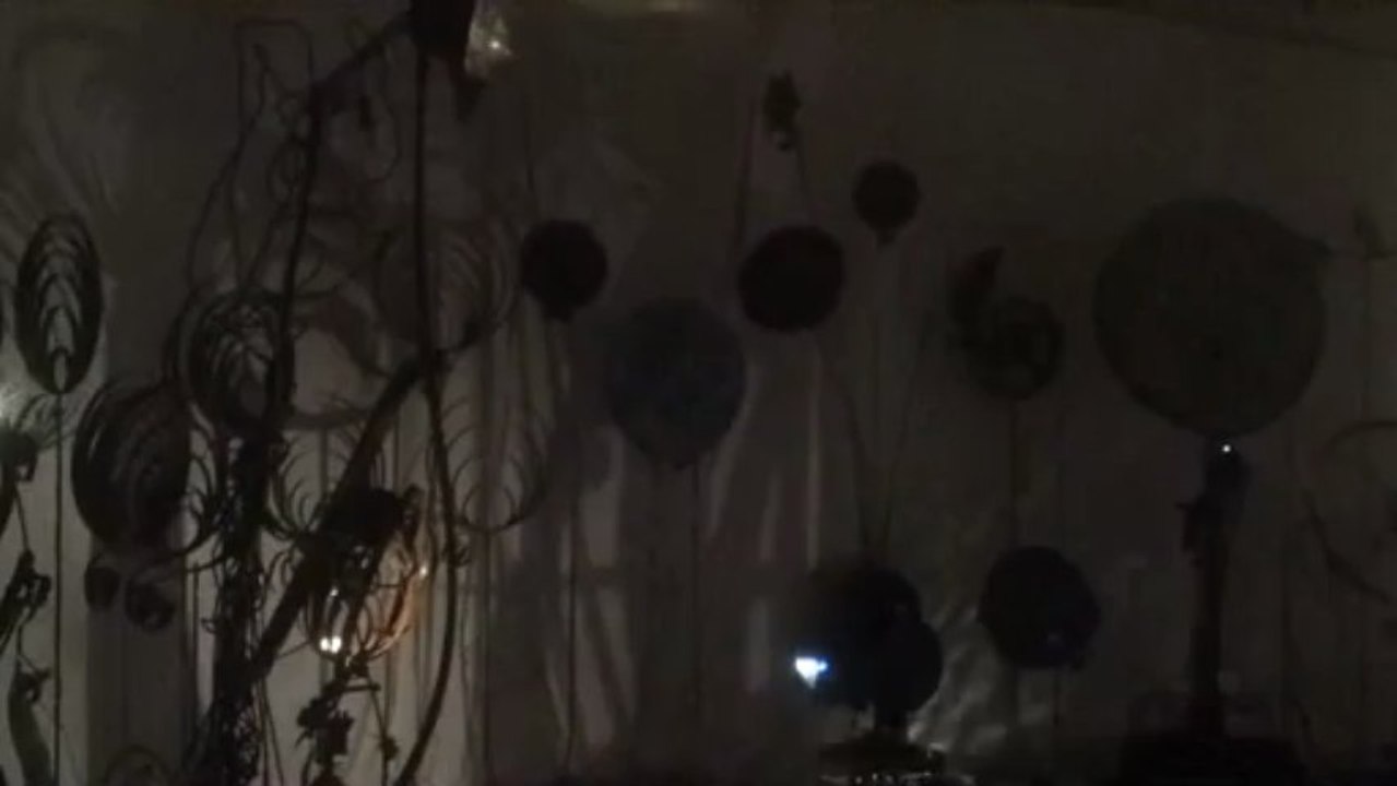 Installation sonore interactive : Electrik Botanik Ensemble (partie 4)