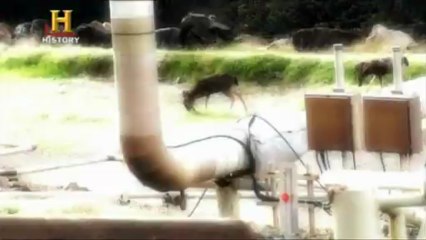 Insanlardan Sonraki Hayat Yikimin Derinlikleri