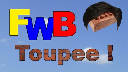 Toupee - Fun With Bricks