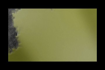 Max Production Animation