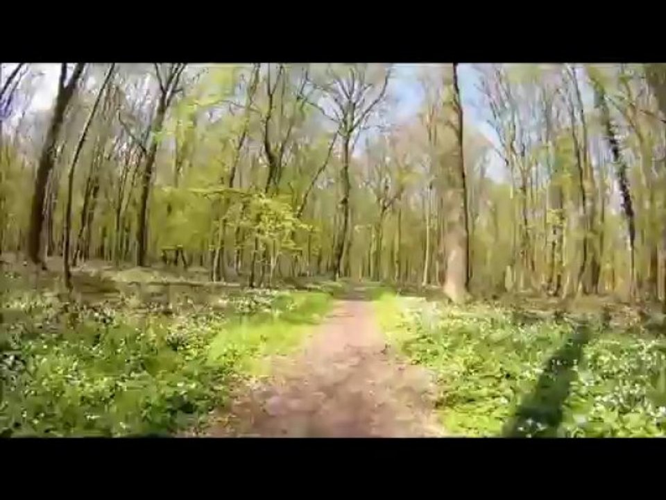 c'est le printemps !