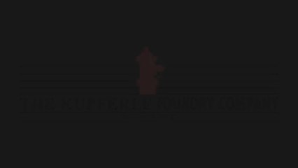 Kupferle Foundry: Eclipse #9700 Automatic Flushing